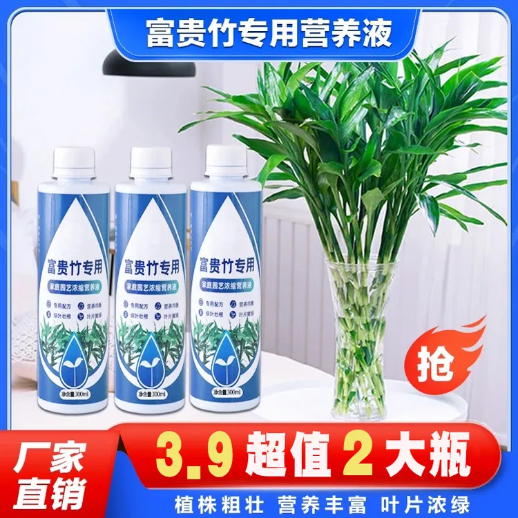 抢！【2大瓶600ml】富贵竹专用营养液家用养花卉绿植水培通用商品图