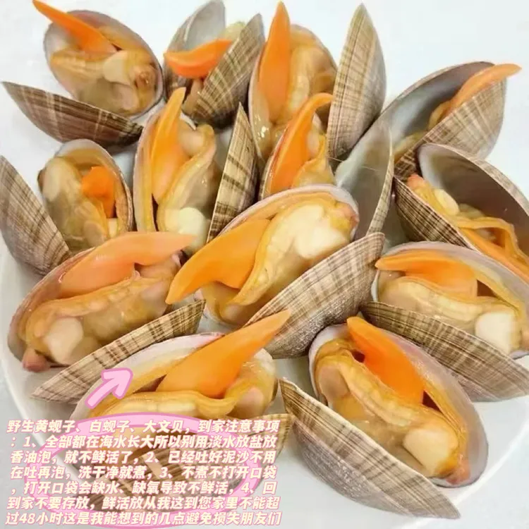 空运活发东港大文贝，顺丰包邮