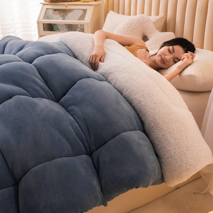 羊羔绒被子秋冬款2025新款冬季棉被被芯冬天单人学生宿舍加厚保暖