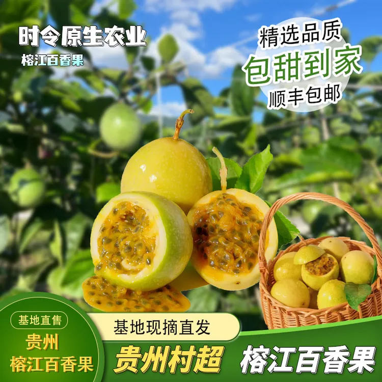 【特果】贵州榕江村超黄金百香果”钦蜜9号“新鲜现摘现发当季水果