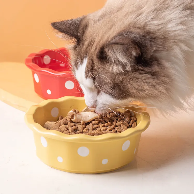 陶瓷猫碗花边波点宠物碗防黑下巴猫食盆猫粮碗小型犬泰迪宠物用品