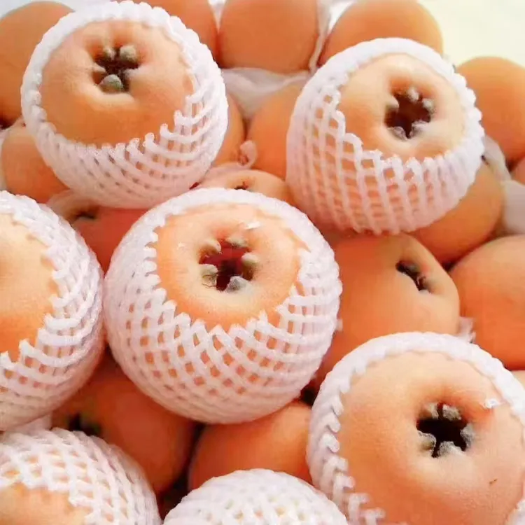 顺丰包邮高山大五星枇杷鲜果当季新鲜大果云南现摘