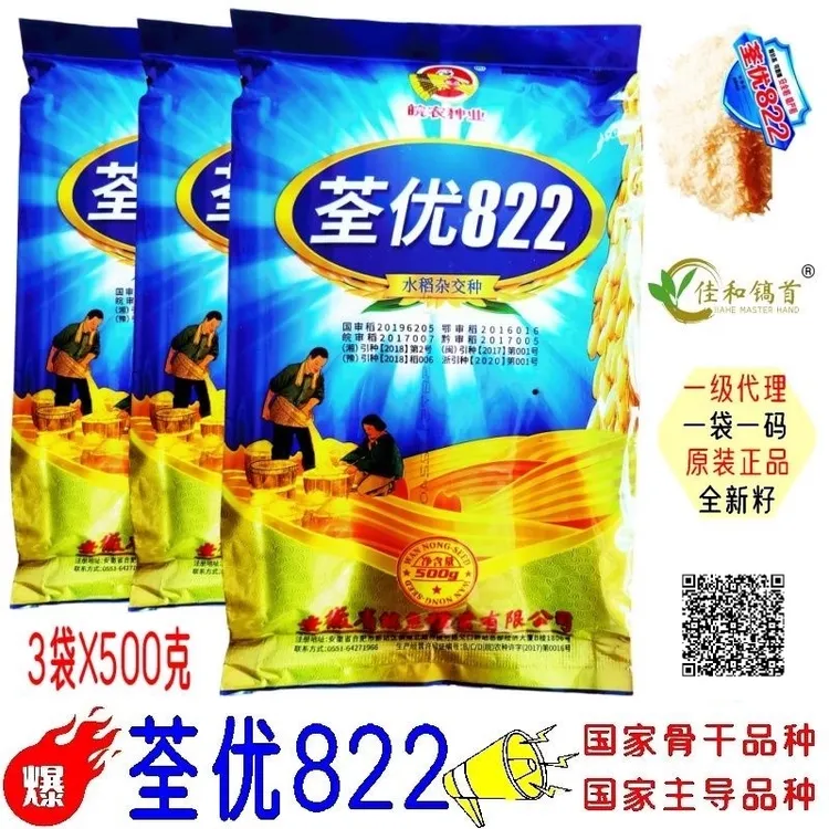 荃优822新种子黄袋蓝袋杂交稻种国审骨干品种2025年全新籽整精米