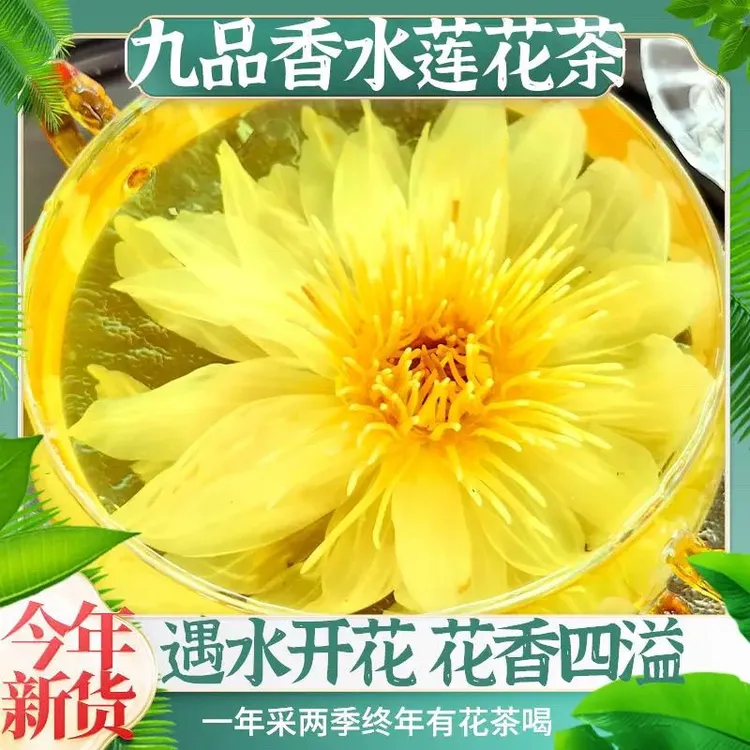 九品香水莲20克起黄色冻干蓝色睡莲男女观音莲花养生泡茶精品新货