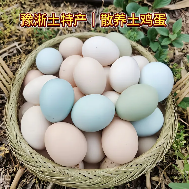 农家散养土鸡蛋新鲜乌鸡蛋孕妇孩子放心吃林下散养生态鸡蛋