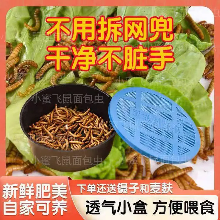面包虫活虫黄粉虫活体八哥乌龟小鸟食仓鼠饲料钓鱼芦丁鸡