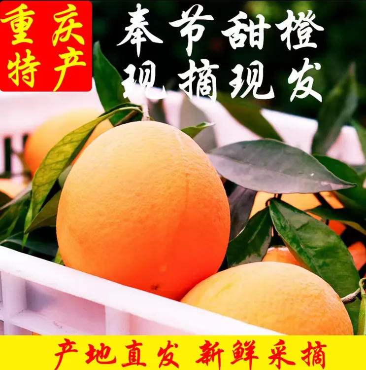奉节脐橙正宗奉节脐橙应季新鲜脐橙产地直发