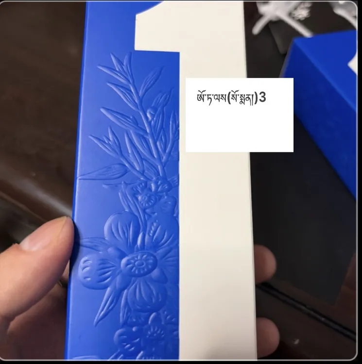 竹柏盆栽室内驱蚊植物四季常青好养耐阴花卉绿植