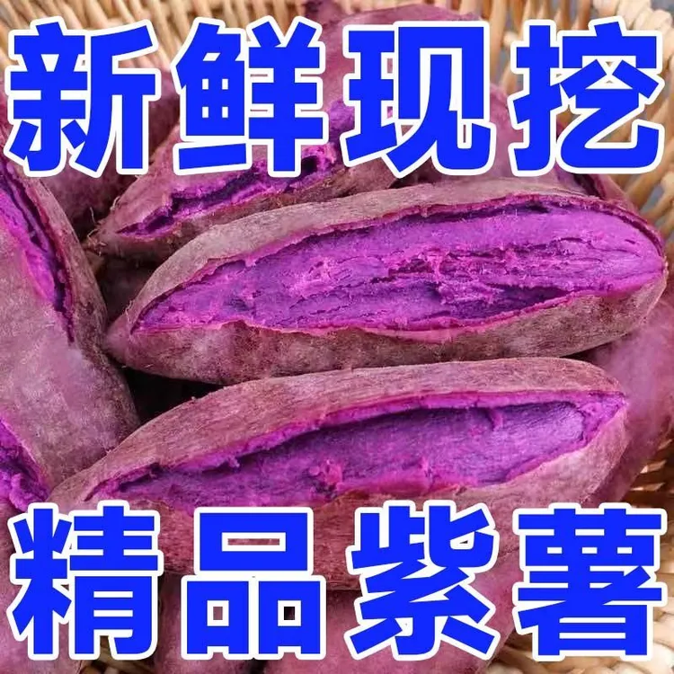 沙地现挖新鲜紫薯紫色红薯紫罗兰地瓜新鲜蔬菜粗粮5斤