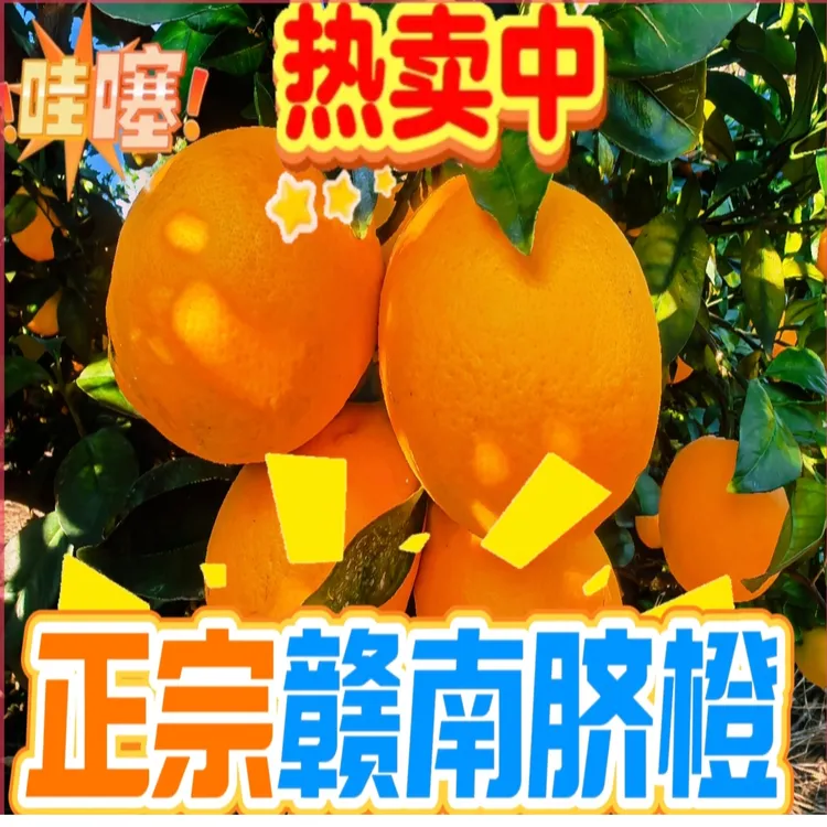 无品牌正宗江西赣南脐橙产地直发新鲜现摘应季水果皮薄多汁