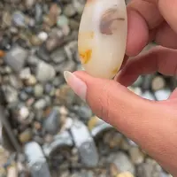 未镶嵌和田玉（糖玉）车挂