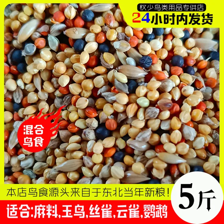 权少混合鸟食营养粮麻料鸟食玉鸟混合食金翅鸟食丝雀鸟食黄鸟食