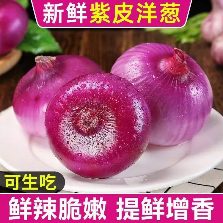 【正宗紫皮洋葱】云南高原新鲜蔬菜水果洋葱脆甜多汁现挖直发