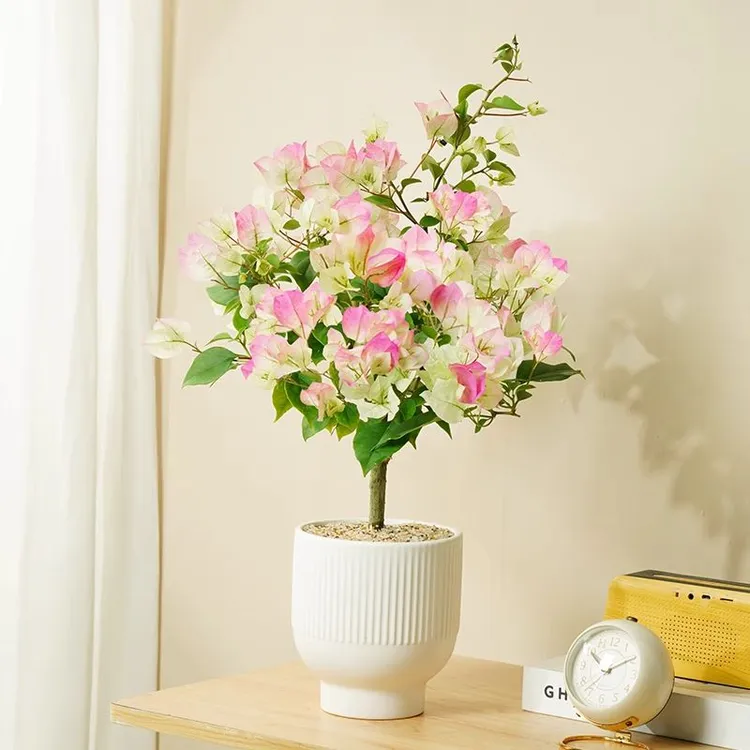 绿樱三角梅盆栽带花阳台庭院花卉易活四季开花绿植绿植盆栽室内