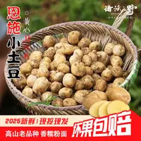 恩施小土豆2025新鲜黄心马尔科高山洋芋马铃薯生态老品种面糯香甜