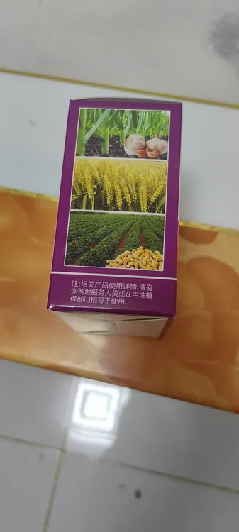 大蒜拌种，苗派方案，防治根腐病，小黄虫