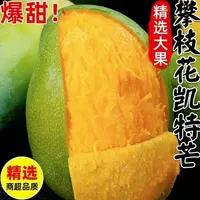 【毛毛专属】攀枝花凯特芒果 带箱9-10斤装单果500g+特大果约5-10个