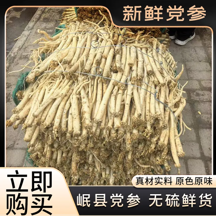 甘肃岷县鲜货党参正宗无硫党参中药材黄芪当归煲汤