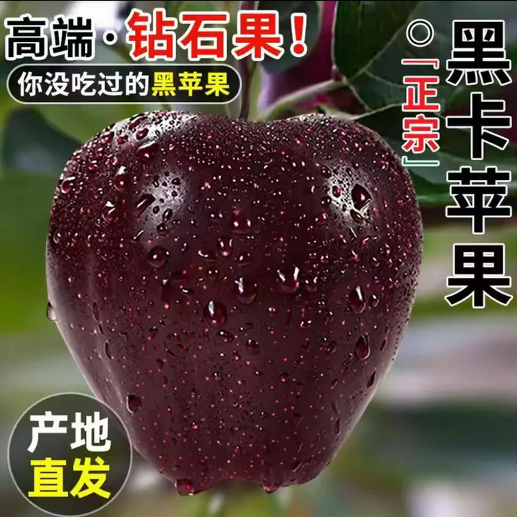 （中秋佳品）天水高山钻石果正宗黑卡苹果整箱/香甜爆汁