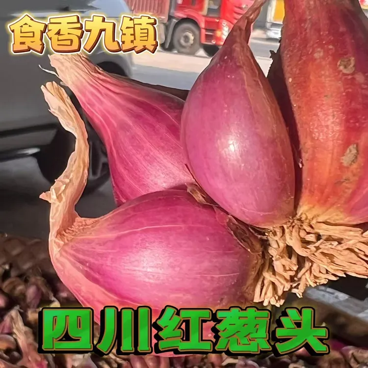 可食正宗红葱头新鲜小香葱熬葱油特香