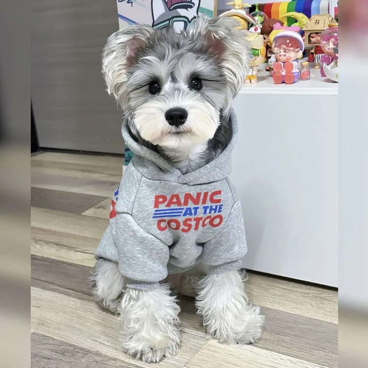 宠物狗潮牌衣服泰迪比熊雪纳瑞专用两脚加绒连帽卫衣中小型犬XF