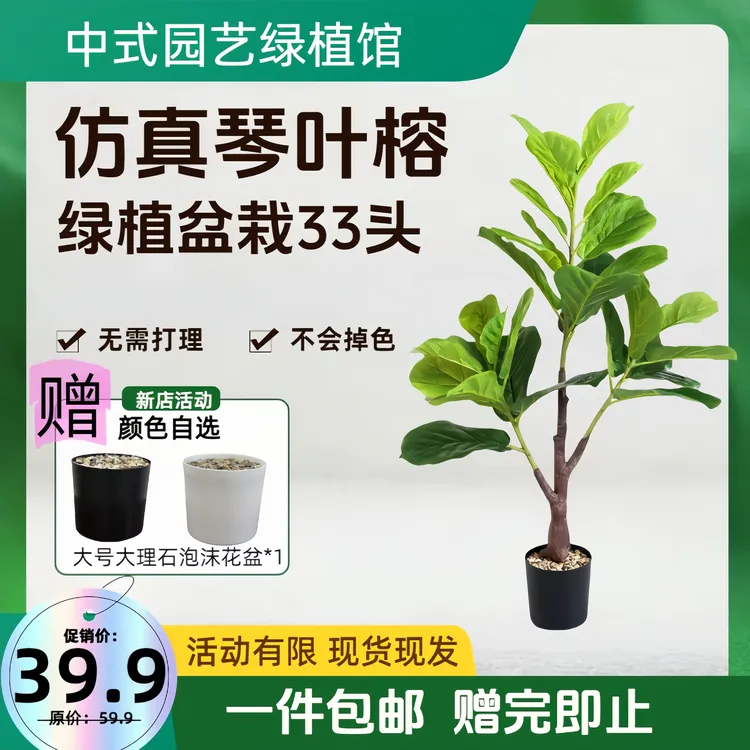 仿真琴叶榕绿植盆栽花永生花客厅假花黄金榕大盆栽装饰