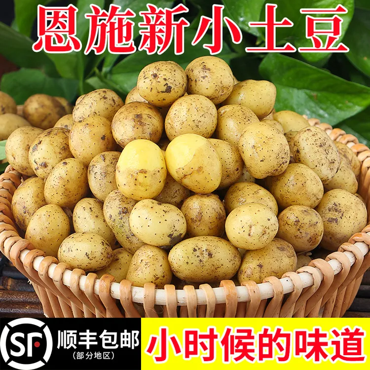恩施小土豆现挖现发黄心土豆细腻皮薄新鲜好吃蒸煮优选粉糯香