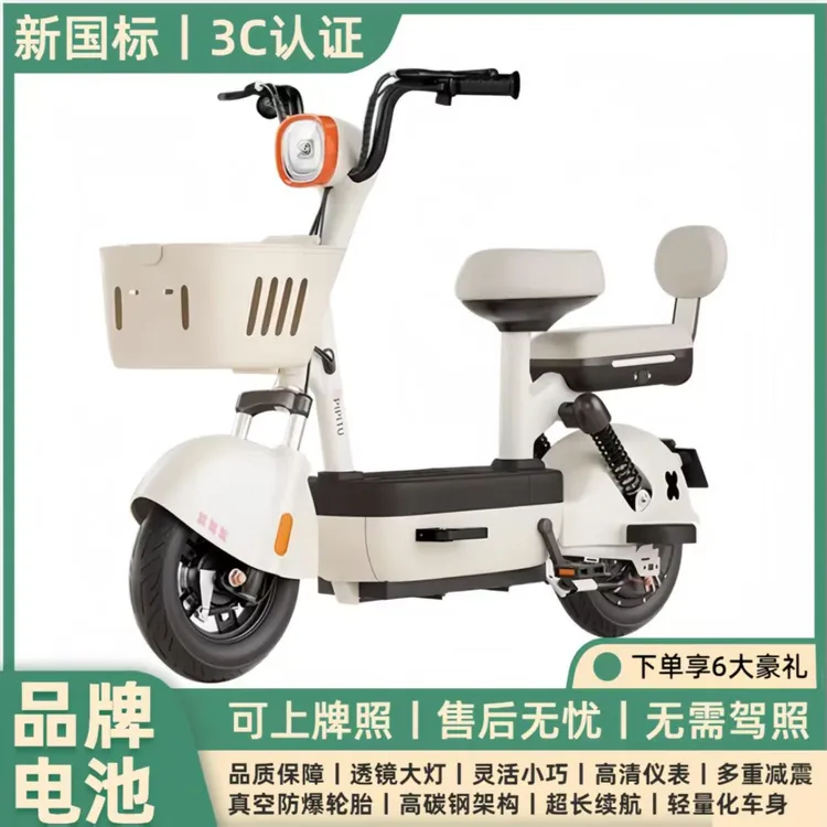 新国标成人两轮电动自行车锂电池代步车双人适用代步电车