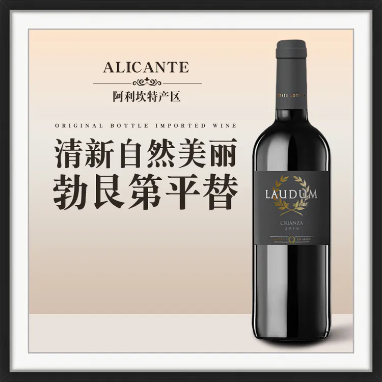 罗顿陈酿红葡萄酒橡木桶陈酿12个月体验西班牙有机金奖的独特风味