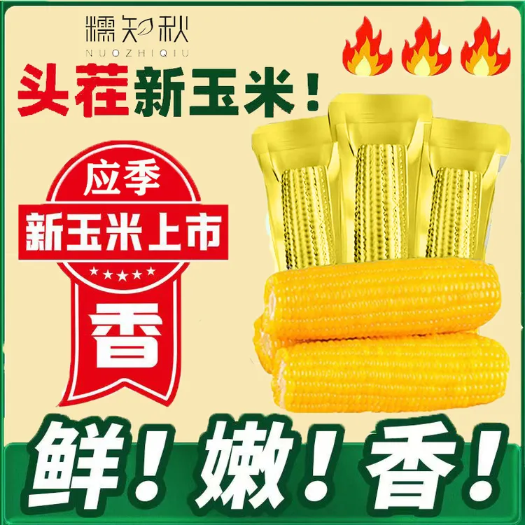 糯知秋25年东北黄糯玉米棒新鲜甜糯玉米低脂代餐280-380克*10根z