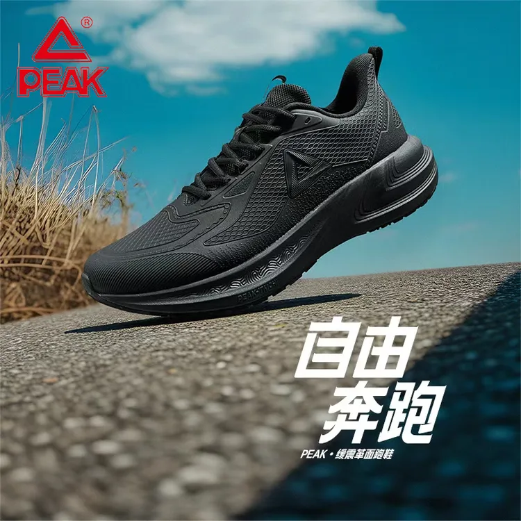 匹克态极新款跑鞋男2025减震回弹跑步鞋秋季时尚运动鞋-DH540441