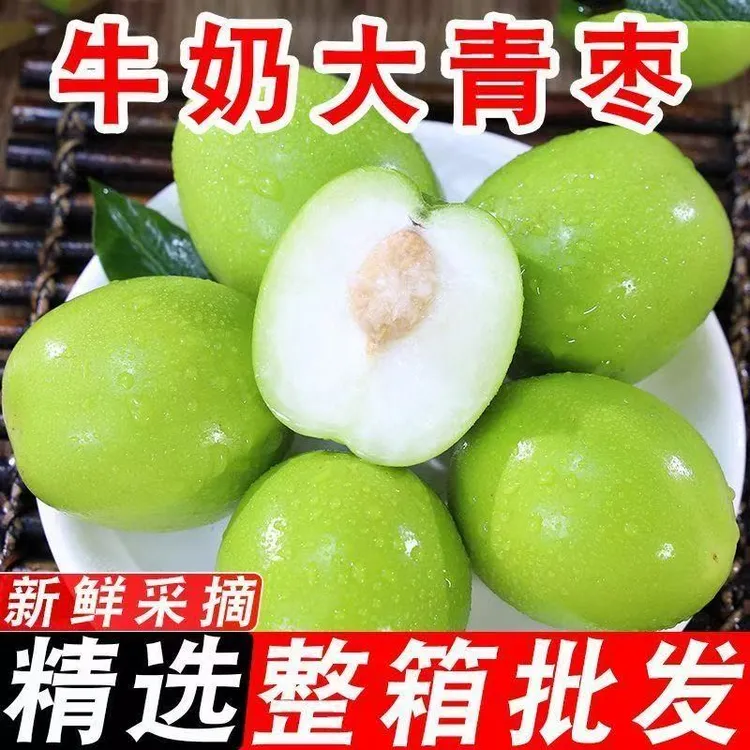 云南贵妃牛奶枣脆甜青枣当季精选水果新鲜爽口大青枣产地直发现摘