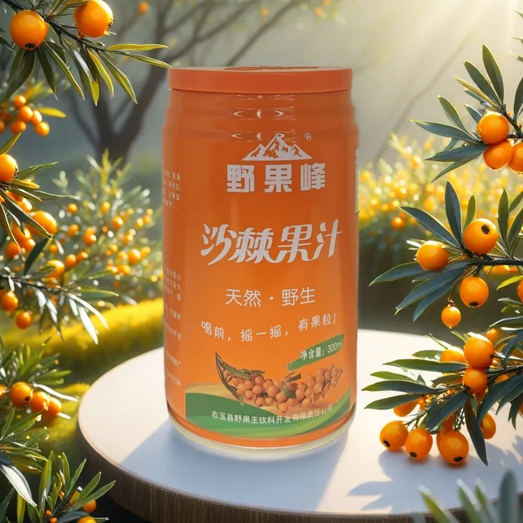 【右玉野果峰】山西特产右玉野果峰沙棘果汁60％含量300ml×10罐礼盒