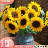 次日达 -【黑心向日葵】3枝向日葵鲜花鲜切花家居花批发任意满两单顺丰包邮三单送花瓶今天拍明天到cc