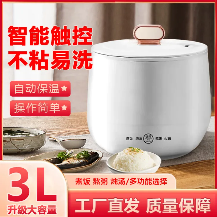智能3L电饭煲多功能全自动小型煮粥煮汤陶瓷釉内胆智能电饭煲DR