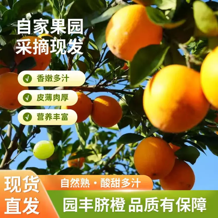 【四方源橙】八斤装正宗园丰脐橙大果75 - 95mm生态新鲜果产地直发