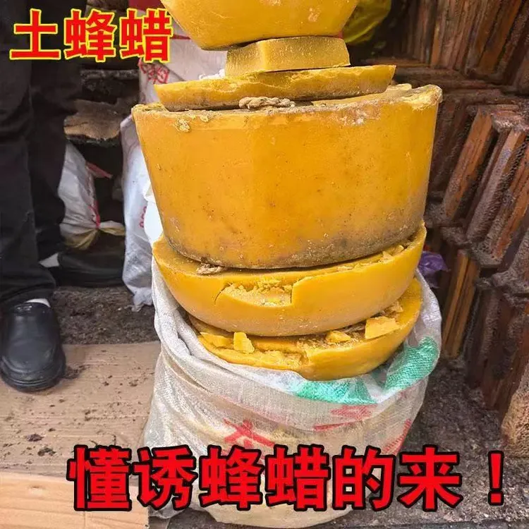 老脾诱蜂蜡蜜蜂专用野外专用招蜂剂养蜂中蜂蜡土蜂蜡全套工具原蜡
