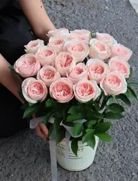 【凯瑟琳 B级】稀有玫瑰 鲜花任意满2单发冷链或空运 云南鲜花