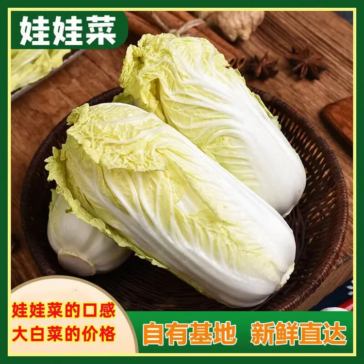 新鲜娃娃菜小白菜新鲜蔬菜精品黄心娃娃菜嫩滑爽口火锅涮菜批发价