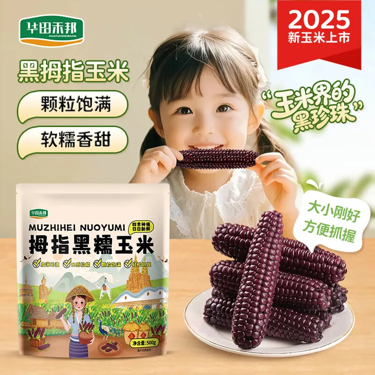 【天然花青素】云南紫金黑拇指玉米华田禾邦水果玉米拇指小玉米早餐