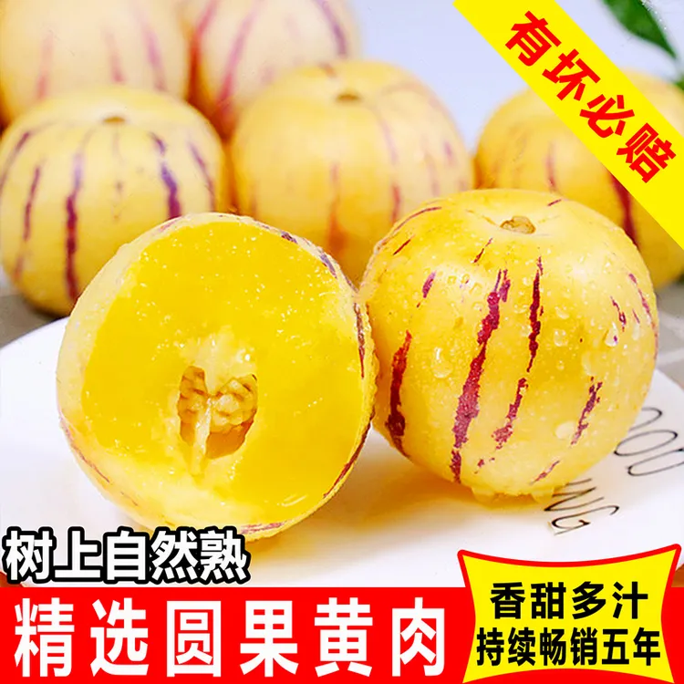 【顺丰快递】云南石林人参果圆果树上熟新鲜清甜多汁水果产地直发