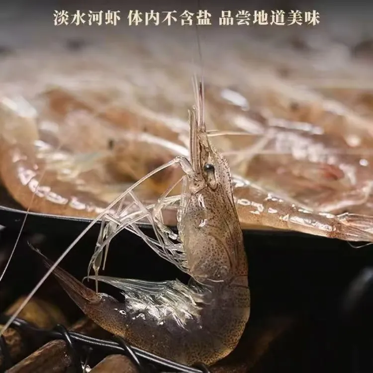 【到手四斤】小河新鲜淡水鲜活冷冻小白草虾湖虾水产含箱带冰保鲜Z