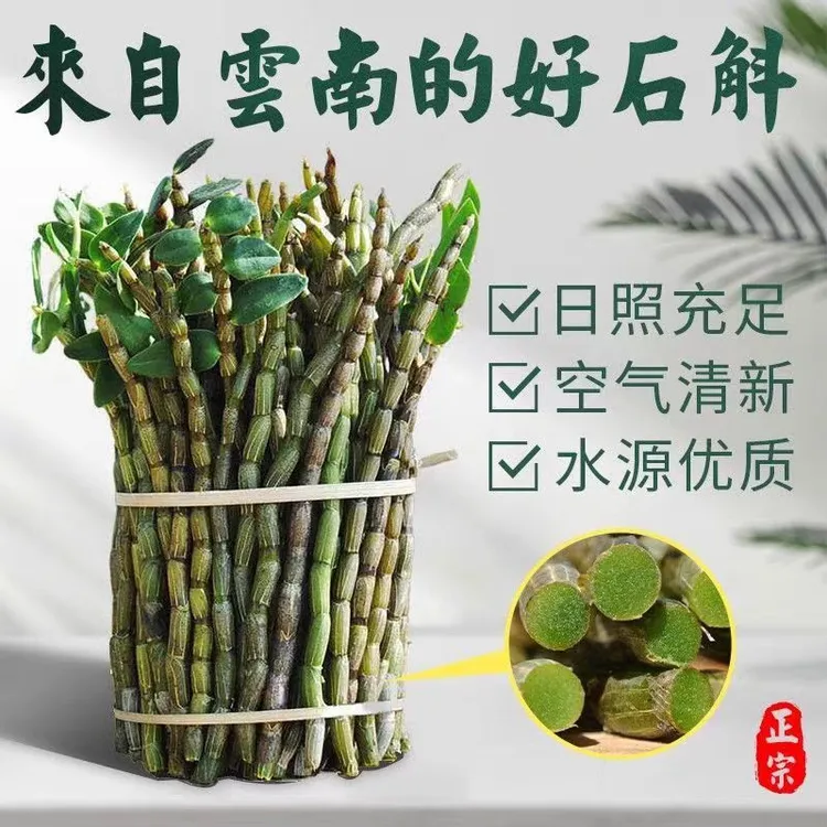 【云南助农】铁皮石斛新鲜石斛云南中药材滋补养生茶中草药批发药材