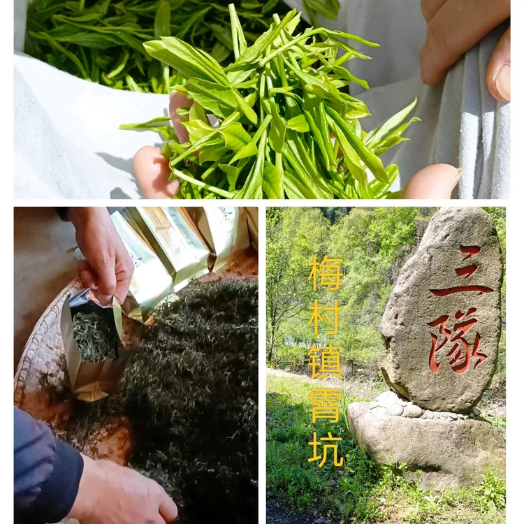 2025新茶，池州梅村镇霄坑生态野生茶，茶香浓厚口感纯厚，农户散茶