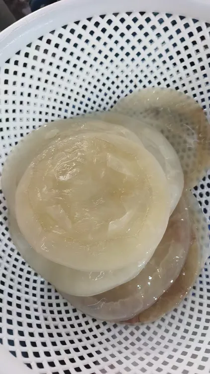 渤海湾野生海蜇皮白皮子桶装嫩脆凉拌菜