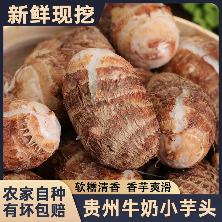 2025年当季新鲜贵州牛奶毛芋头软糯小芋头农家芋艿子香芋应季蔬菜