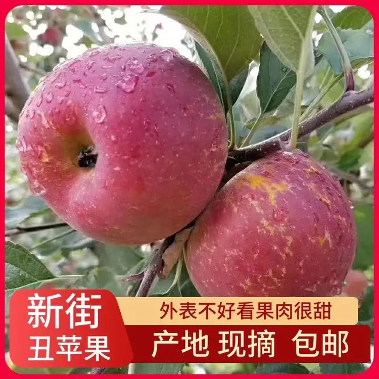 威宁糖心苹果贵州毕节威宁新街红露正宗冰糖苹果当季水果新鲜脆甜