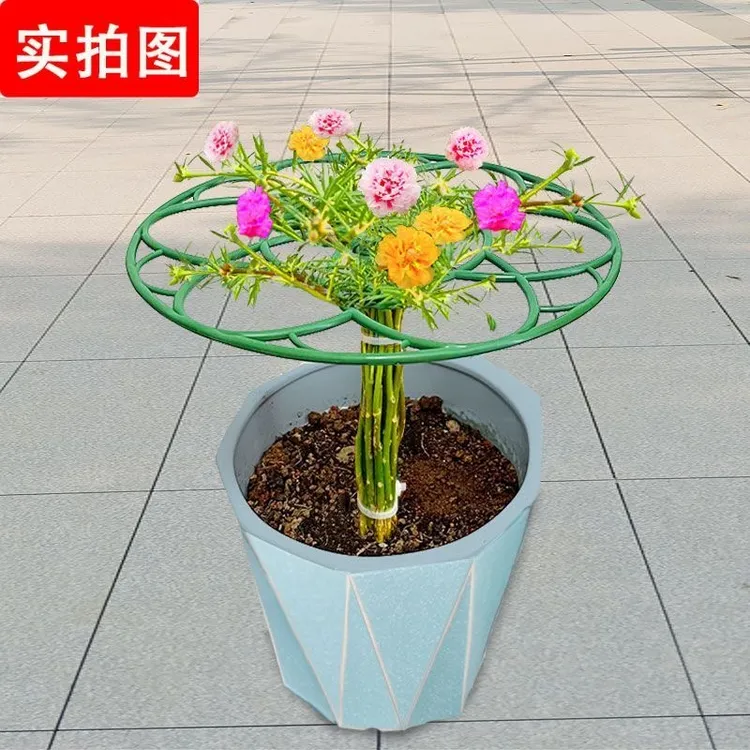 太阳花棒棒糖支架单层多层支撑架植物造型爬藤固定架蟹爪兰支撑杆