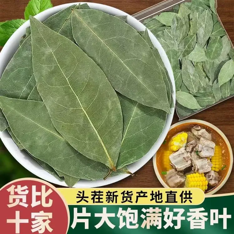 正宗广西香叶厨房调味料香料优质足干香叶