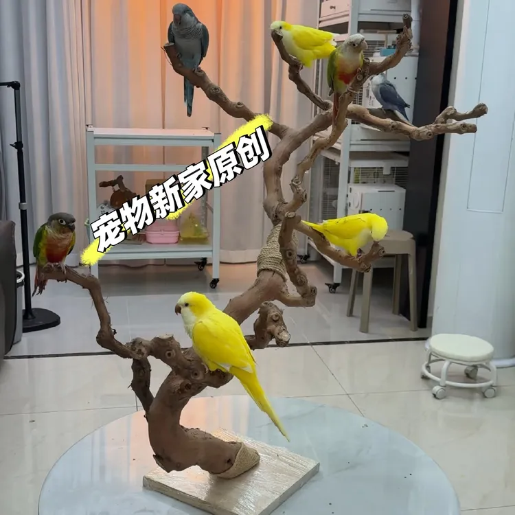 鹦鹉葡萄木站杆玄凤鸟站杠磨爪棒磨嘴磨牙棒站棍站台鸟具树杈架